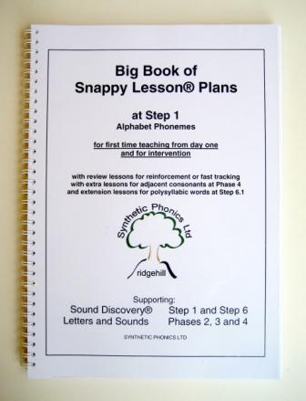 Big Book of Snappy Lesson Plans at Step 1.